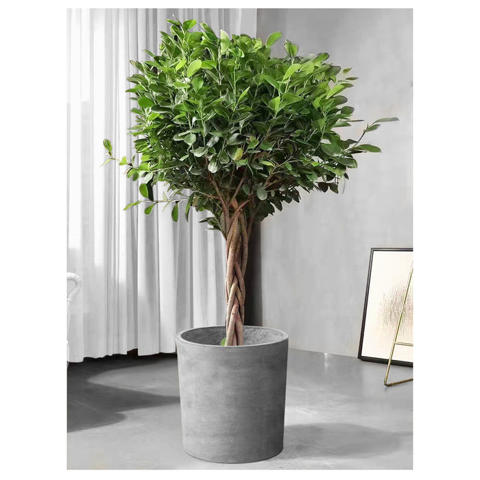 Modern Cement Gray Planter Box Cylindrical 18 Cm